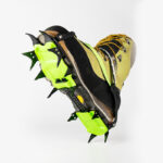 Snow Leopard 14-Point Strap Crampons — image 5